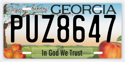 GA license plate PUZ8647
