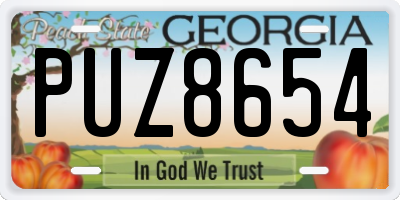 GA license plate PUZ8654