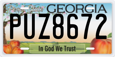 GA license plate PUZ8672