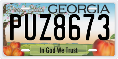 GA license plate PUZ8673