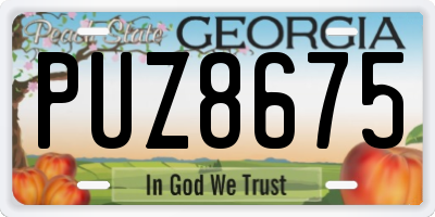 GA license plate PUZ8675