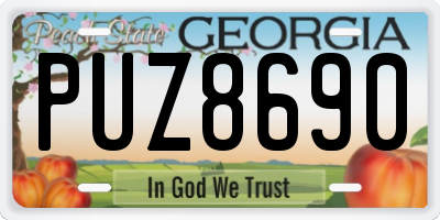 GA license plate PUZ8690