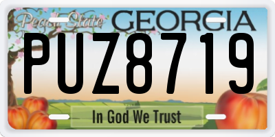 GA license plate PUZ8719