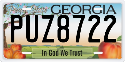 GA license plate PUZ8722