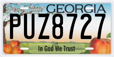 GA license plate PUZ8727