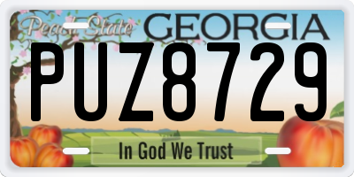 GA license plate PUZ8729