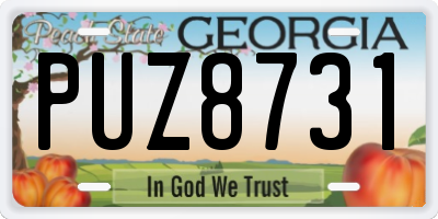 GA license plate PUZ8731
