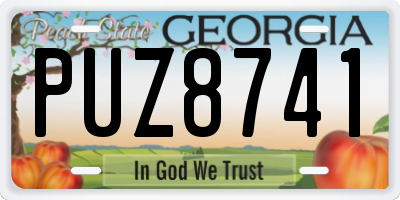 GA license plate PUZ8741