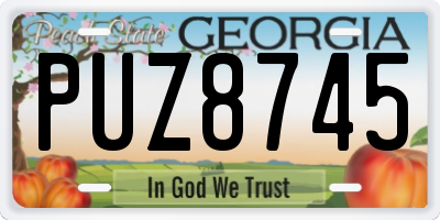 GA license plate PUZ8745