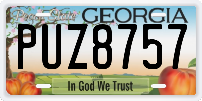 GA license plate PUZ8757