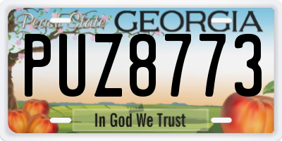 GA license plate PUZ8773