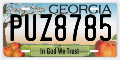 GA license plate PUZ8785