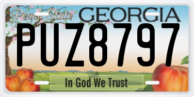 GA license plate PUZ8797