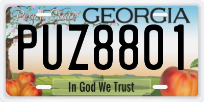GA license plate PUZ8801