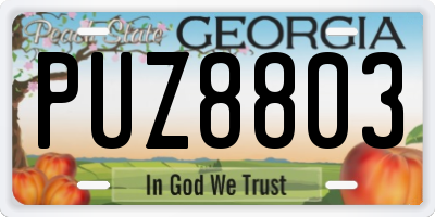 GA license plate PUZ8803