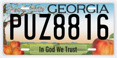 GA license plate PUZ8816