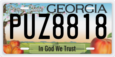GA license plate PUZ8818