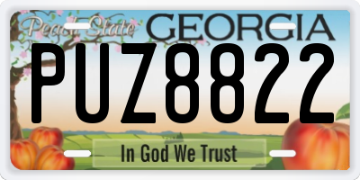 GA license plate PUZ8822
