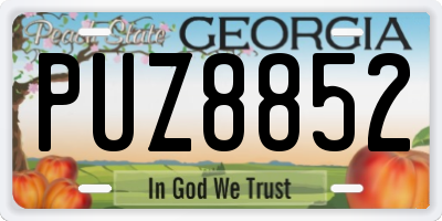 GA license plate PUZ8852