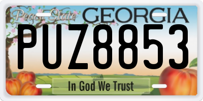 GA license plate PUZ8853