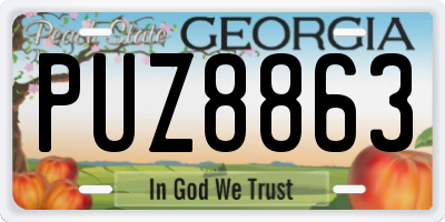 GA license plate PUZ8863