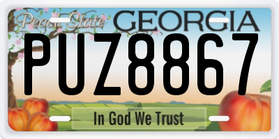 GA license plate PUZ8867