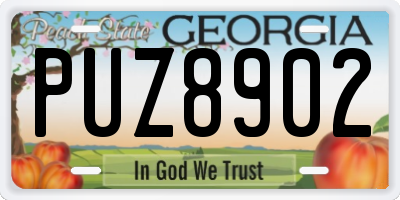 GA license plate PUZ8902