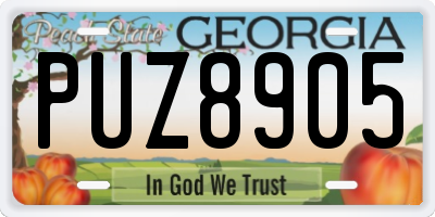 GA license plate PUZ8905