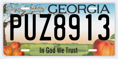GA license plate PUZ8913