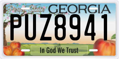 GA license plate PUZ8941