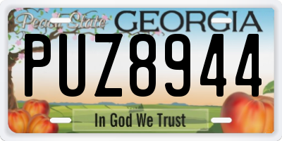 GA license plate PUZ8944