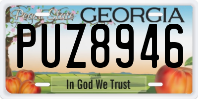 GA license plate PUZ8946