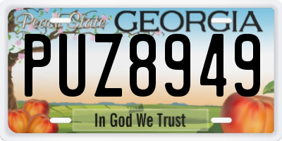 GA license plate PUZ8949
