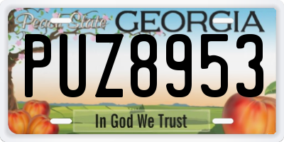 GA license plate PUZ8953
