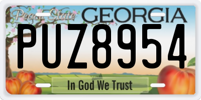GA license plate PUZ8954