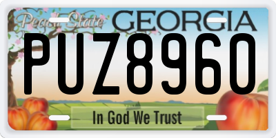 GA license plate PUZ8960