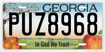 GA license plate PUZ8968
