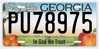 GA license plate PUZ8975