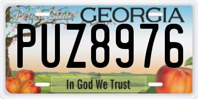 GA license plate PUZ8976