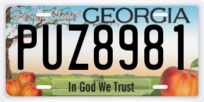 GA license plate PUZ8981