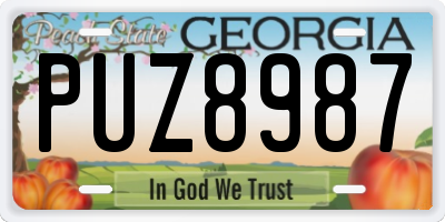 GA license plate PUZ8987