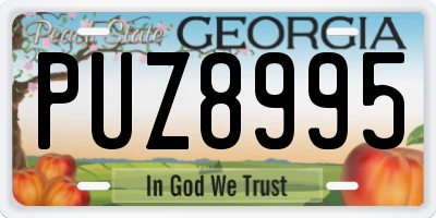 GA license plate PUZ8995