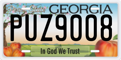 GA license plate PUZ9008