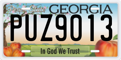 GA license plate PUZ9013