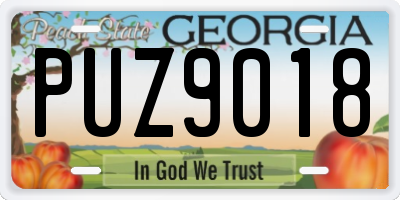 GA license plate PUZ9018