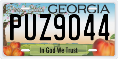 GA license plate PUZ9044
