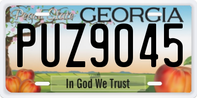 GA license plate PUZ9045