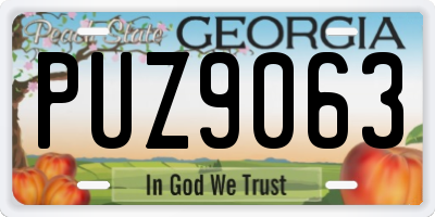 GA license plate PUZ9063