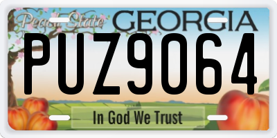 GA license plate PUZ9064