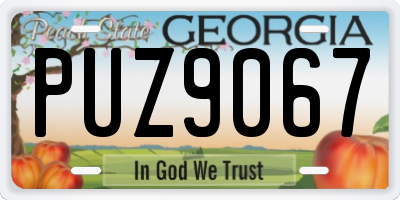 GA license plate PUZ9067